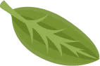 Kebab & Curry Banner